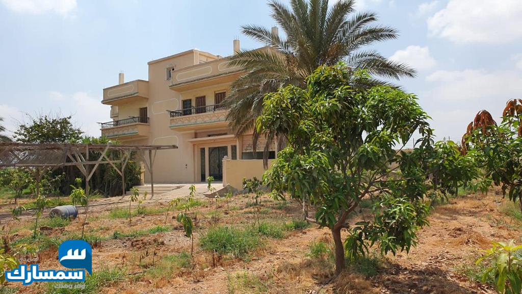 بيع عقارات ومبانى