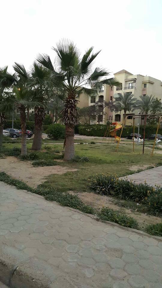 بيع عقارات ومبانى