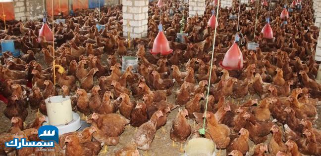 بيع عقارات ومبانى