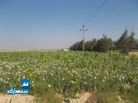 بيع عقارات ومبانى