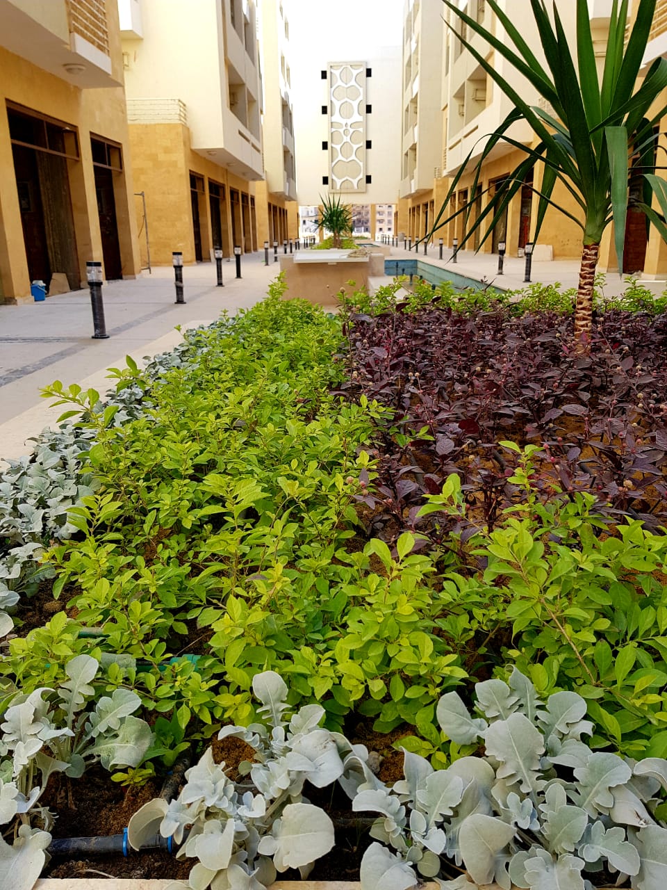  بيع عقارات ومبانى