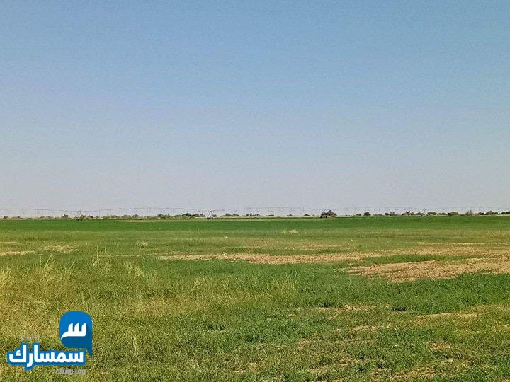 بيع عقارات ومبانى