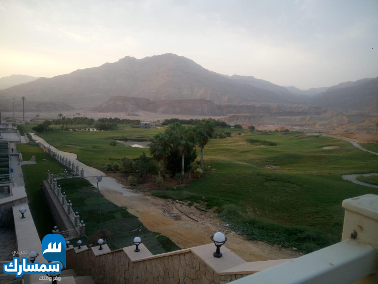 بيع عقارات ومبانى