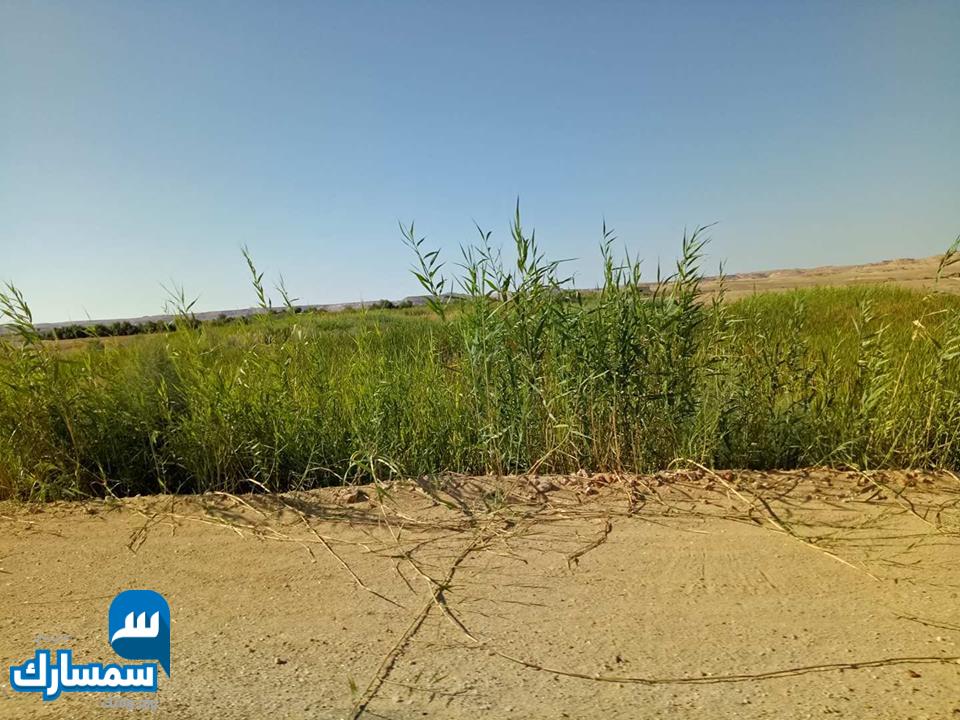  بيع عقارات ومبانى