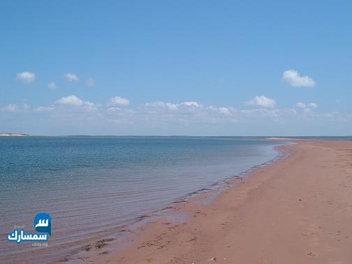 بيع عقارات ومبانى