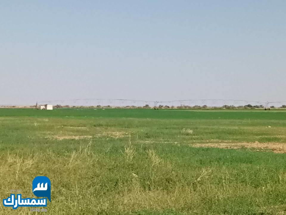 بيع عقارات ومبانى