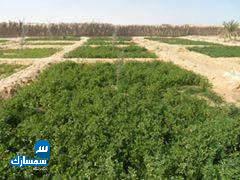 بيع عقارات ومبانى