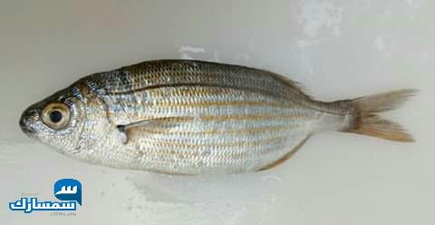 بيع عقارات ومبانى