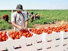 بيع عقارات ومبانى