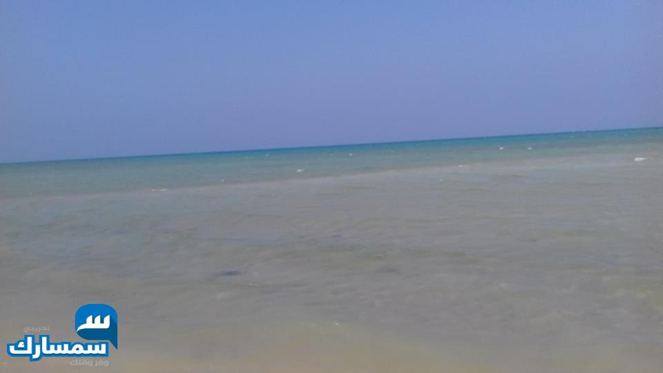  بيع عقارات ومبانى