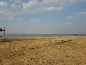 بيع عقارات ومبانى