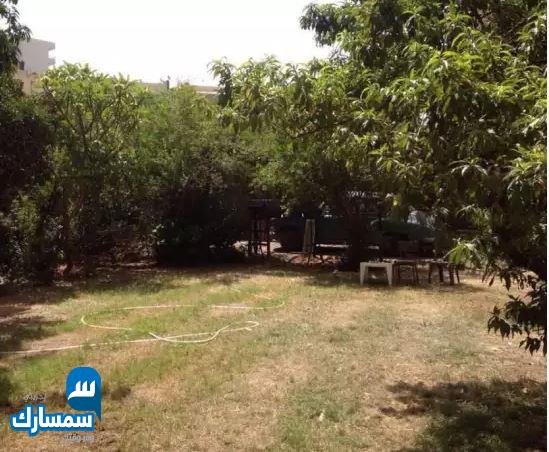  بيع عقارات ومبانى