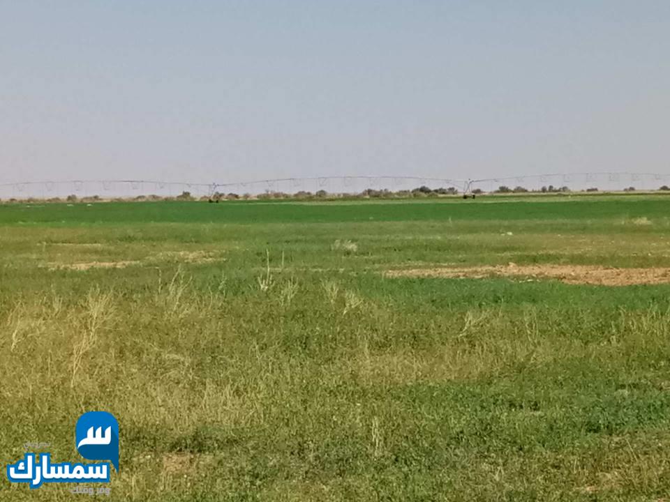  بيع عقارات ومبانى