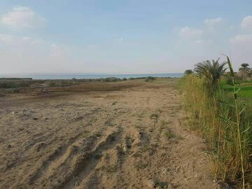  بيع عقارات ومبانى