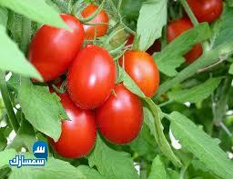 بيع عقارات ومبانى