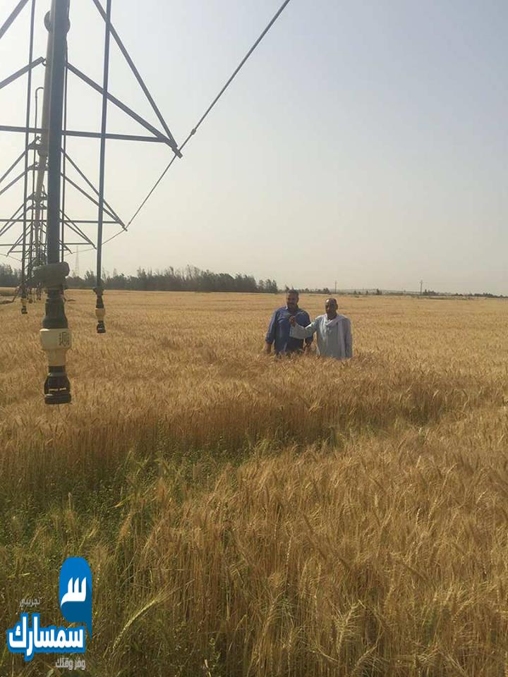 بيع عقارات ومبانى