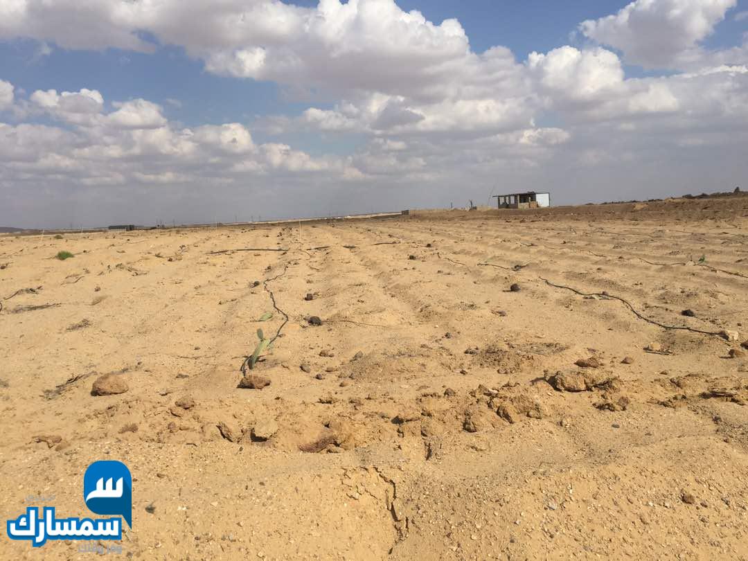 بيع عقارات ومبانى