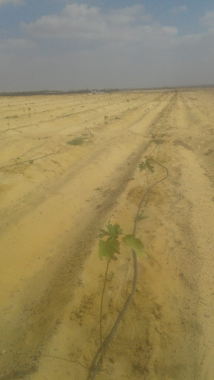 بيع عقارات ومبانى