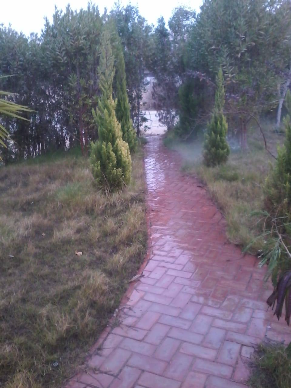  بيع عقارات ومبانى