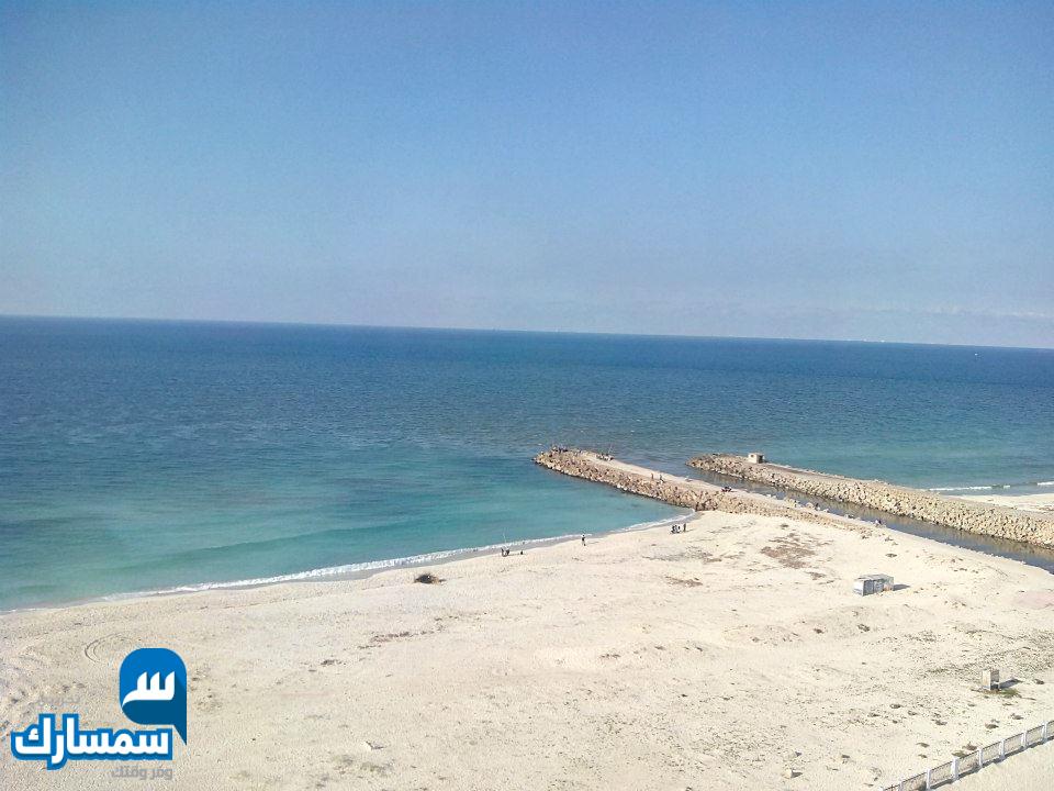  بيع عقارات ومبانى