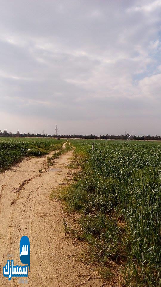 بيع عقارات ومبانى