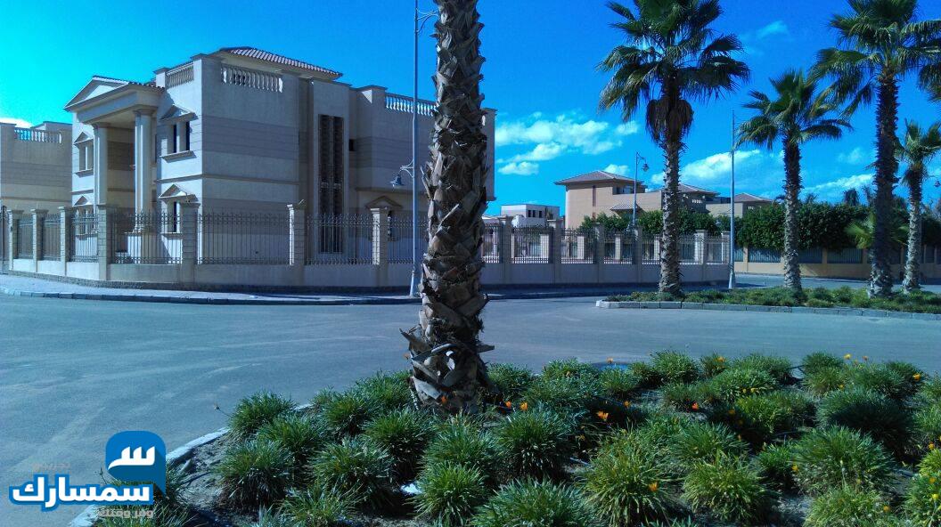  بيع عقارات ومبانى