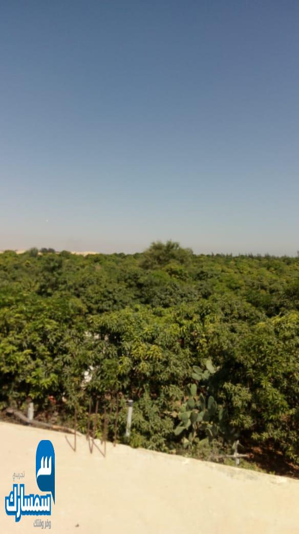 بيع عقارات ومبانى