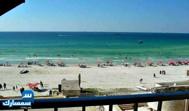 بيع عقارات ومبانى