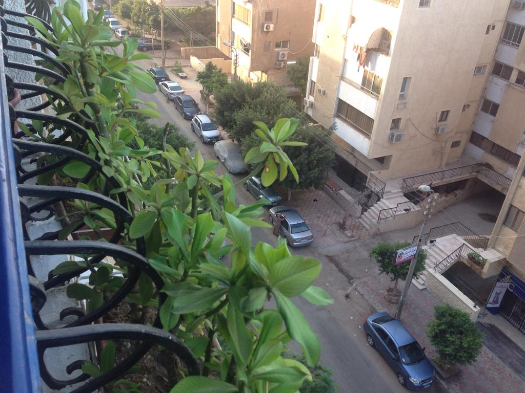  بيع عقارات ومبانى