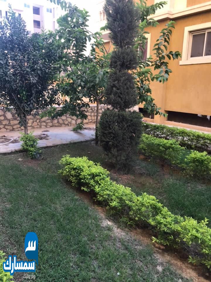  بيع عقارات ومبانى