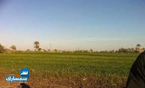 بيع عقارات ومبانى