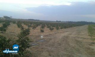 بيع عقارات ومبانى