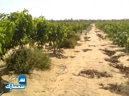 بيع عقارات ومبانى