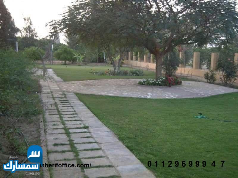 بيع عقارات ومبانى