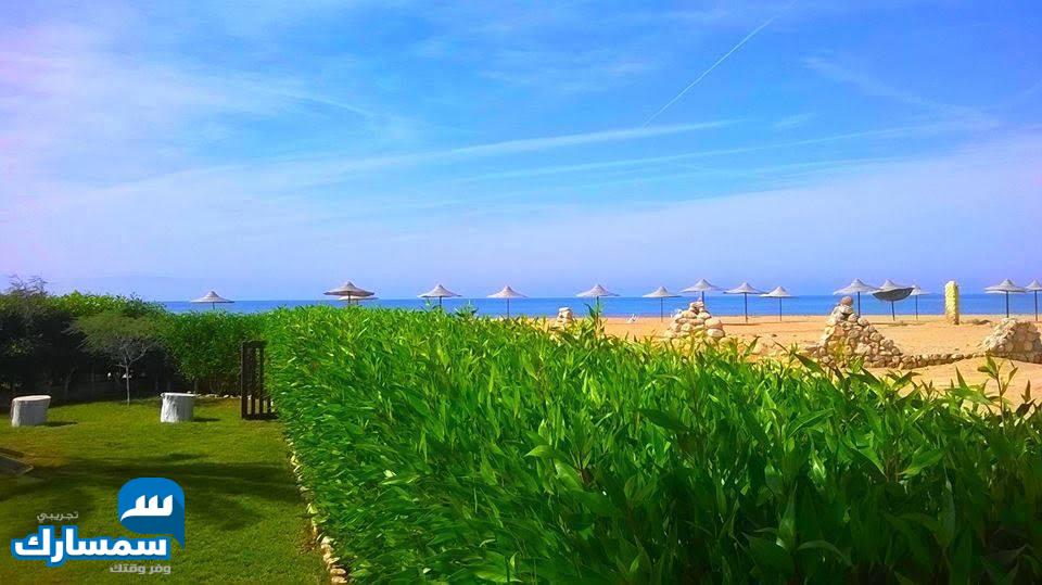  بيع عقارات ومبانى