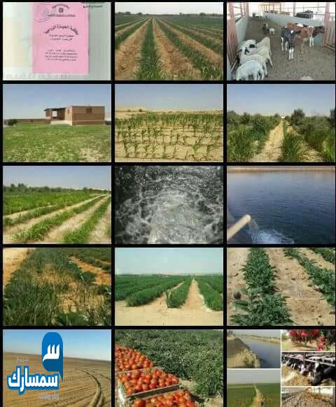 بيع عقارات ومبانى