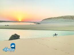 بيع عقارات ومبانى