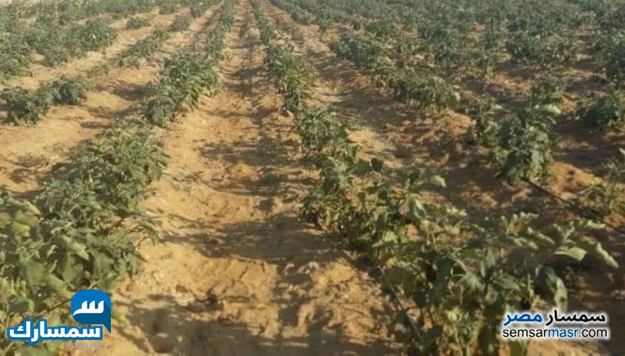 بيع عقارات ومبانى