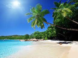 بيع عقارات ومبانى