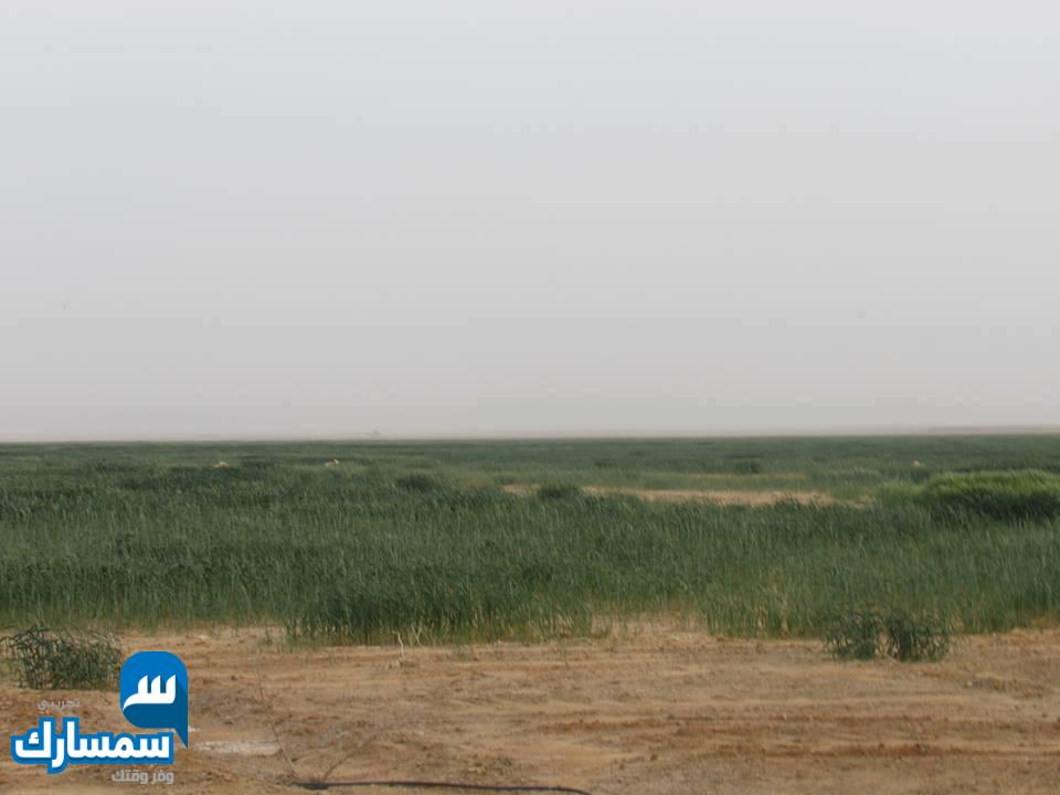  بيع عقارات ومبانى