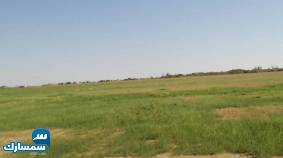  بيع عقارات ومبانى