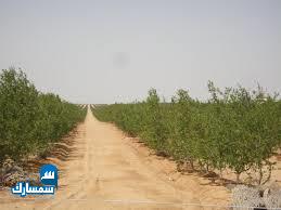 بيع عقارات ومبانى