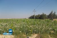 بيع عقارات ومبانى