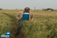 بيع عقارات ومبانى