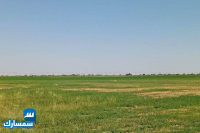 بيع عقارات ومبانى