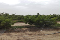 بيع عقارات ومبانى