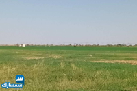 بيع عقارات ومبانى