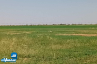 بيع عقارات ومبانى