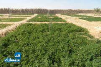 بيع عقارات ومبانى