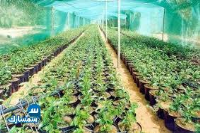 بيع عقارات ومبانى